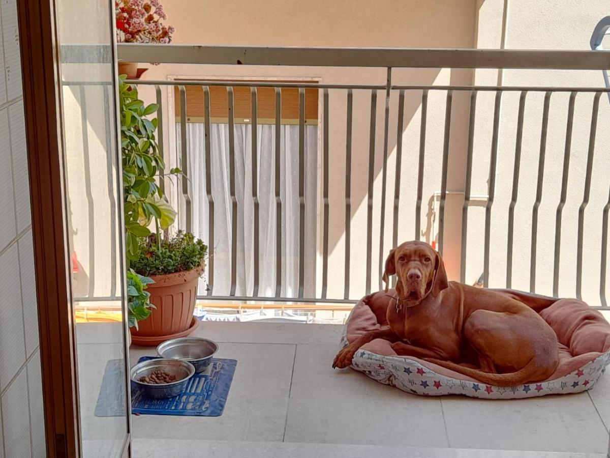 B&B Famigliare Arcadia Polignano Polignano a Mare Exteriör bild